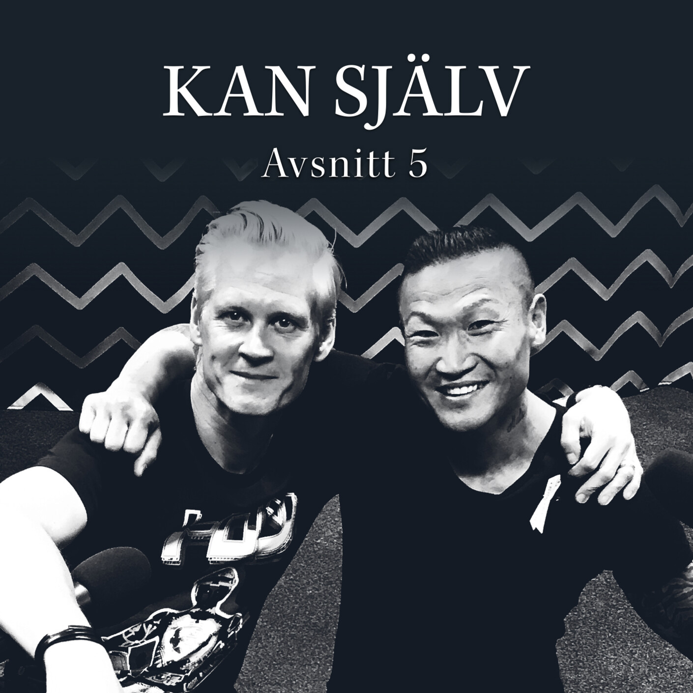 5. Negativa spiraler och positiv tankeprogrammering, med Mårten Nylén episode artwork