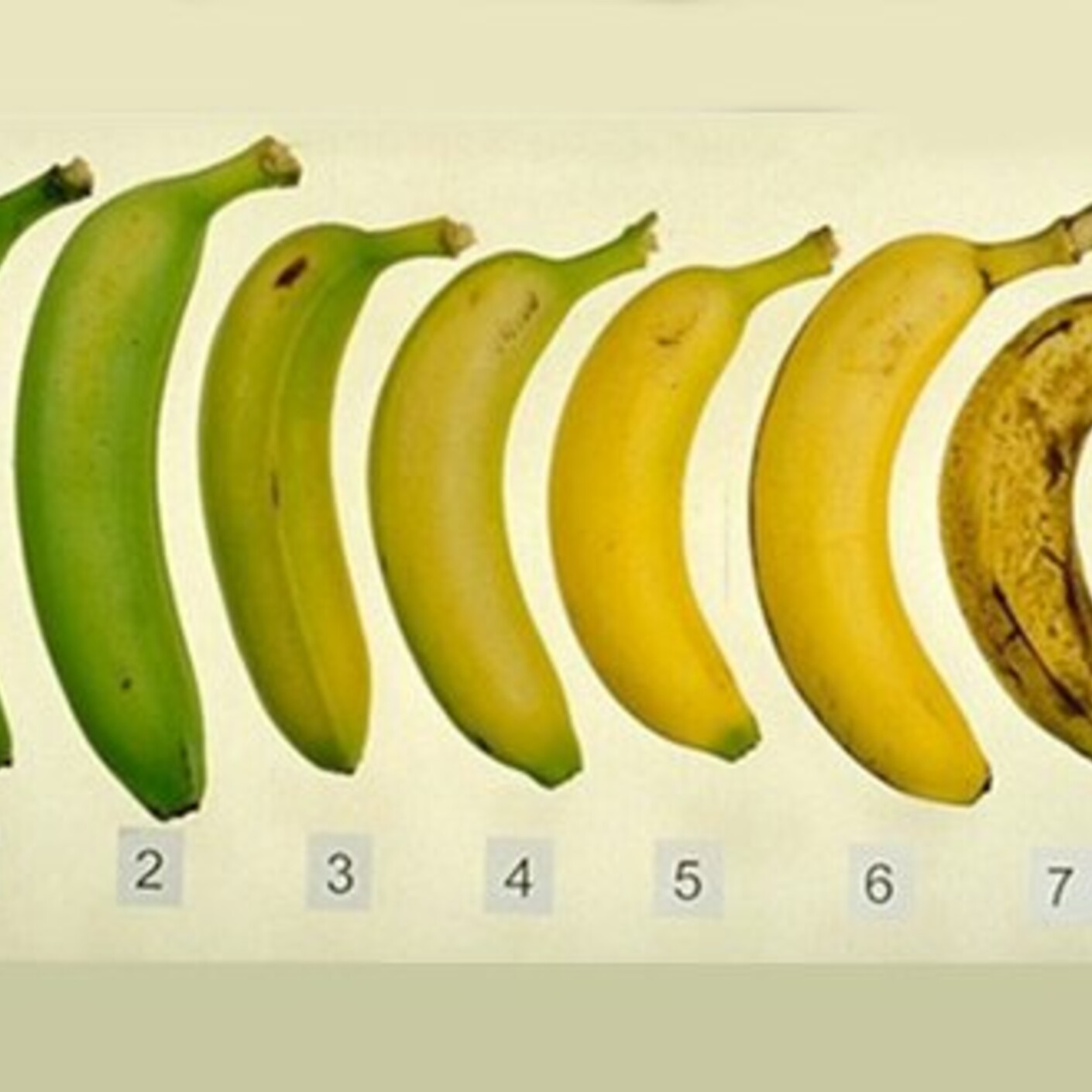 Banantricket