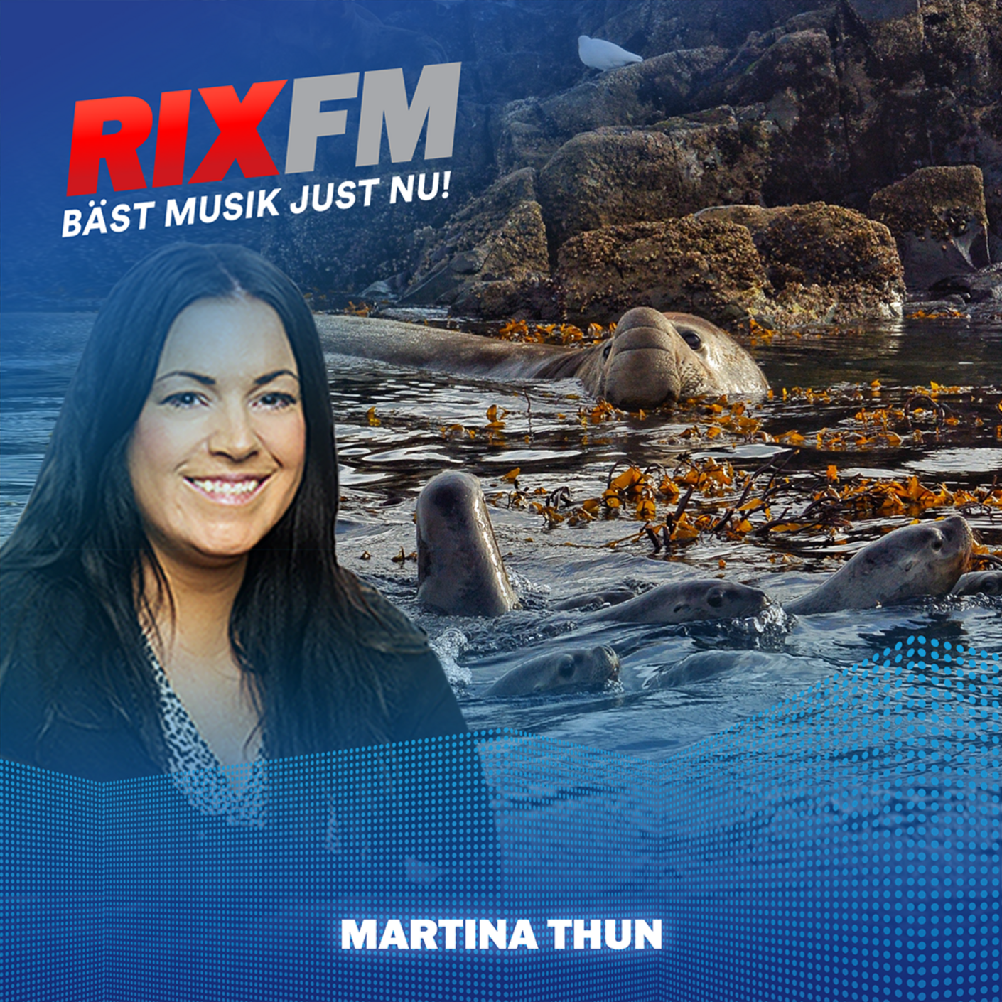 Forskaren om Sjöelefant-expeditionen