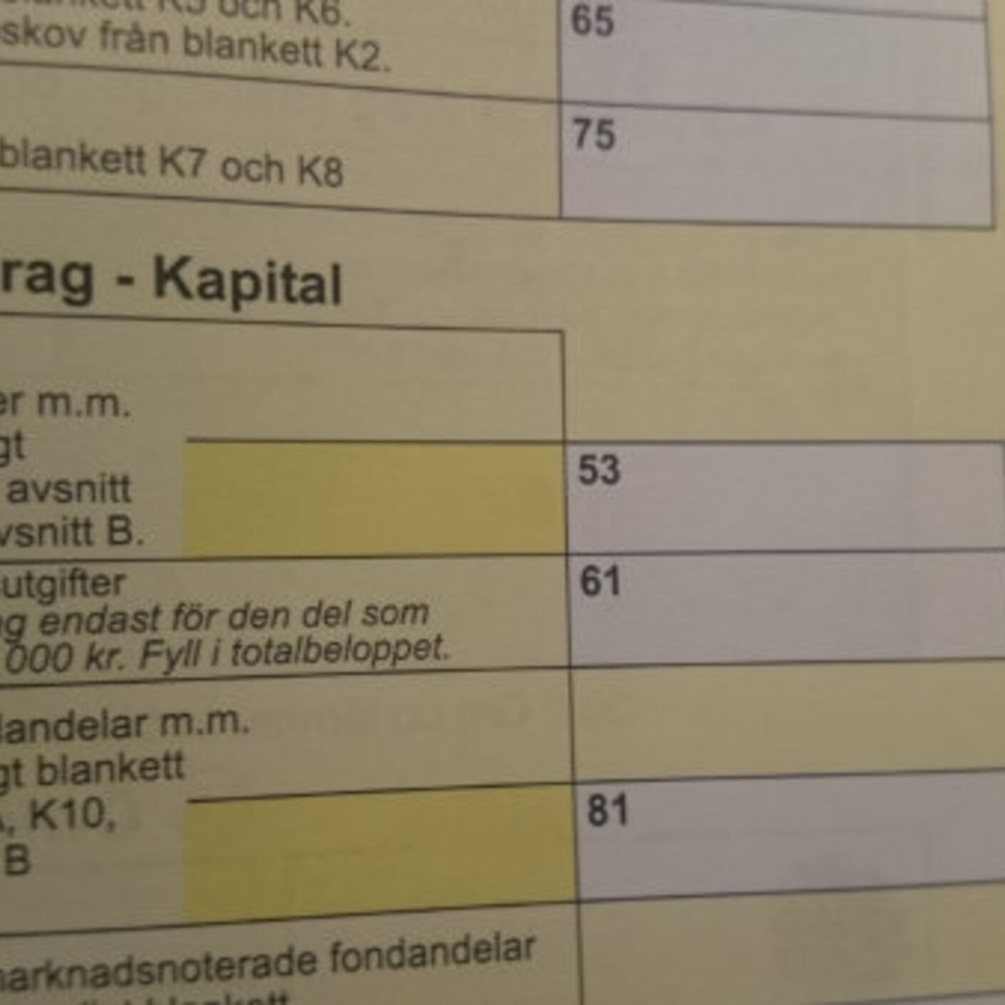 Skattefifflarens försvarstal