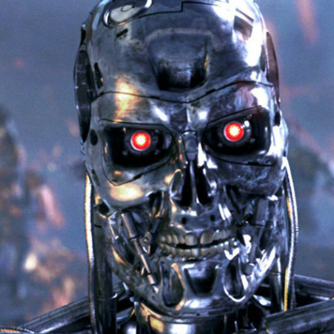 Skynet och sugis på landet