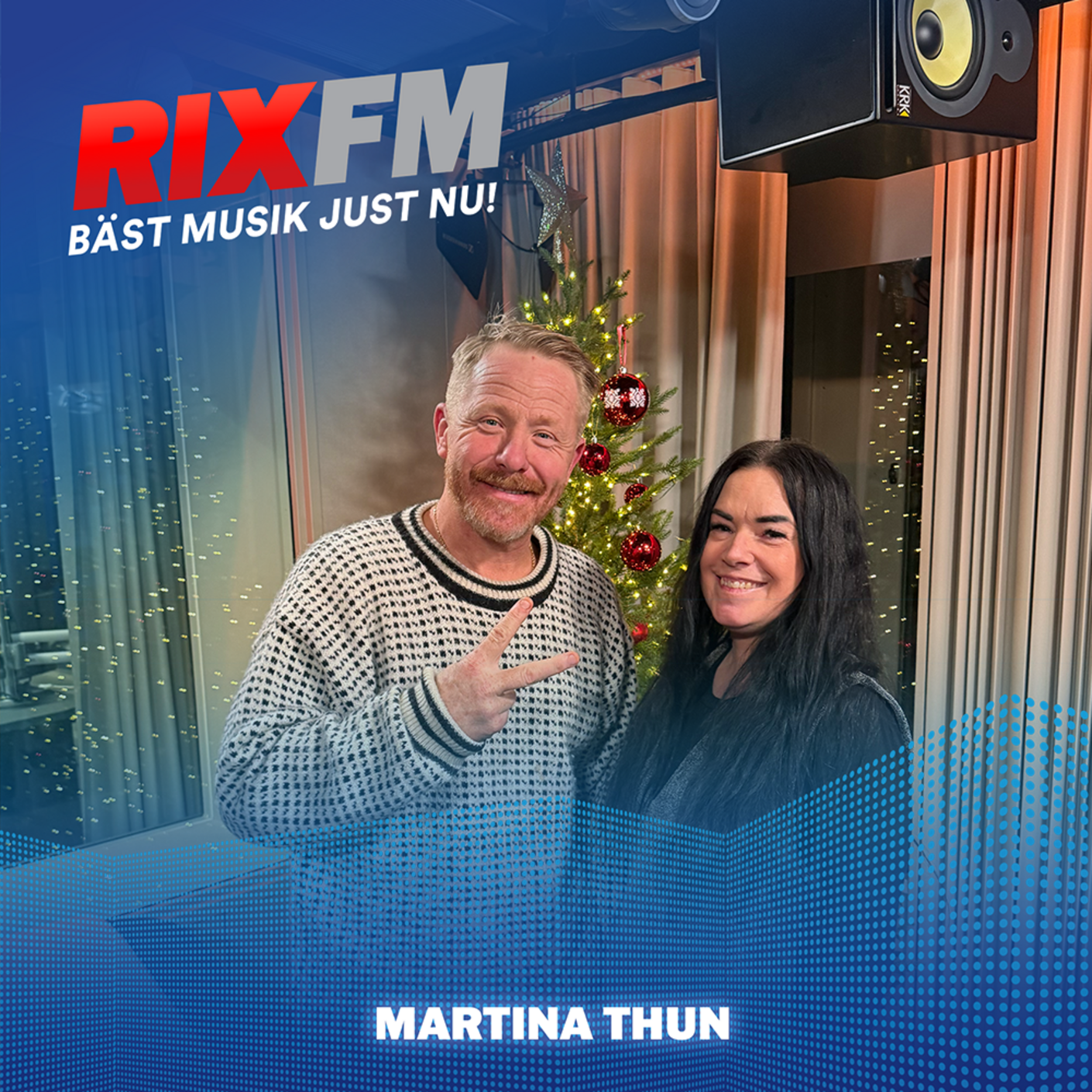 Så hjälper du hunden över jul & nyår