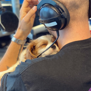 RIX MorronZoo - 1 juni med valpmys i studion!